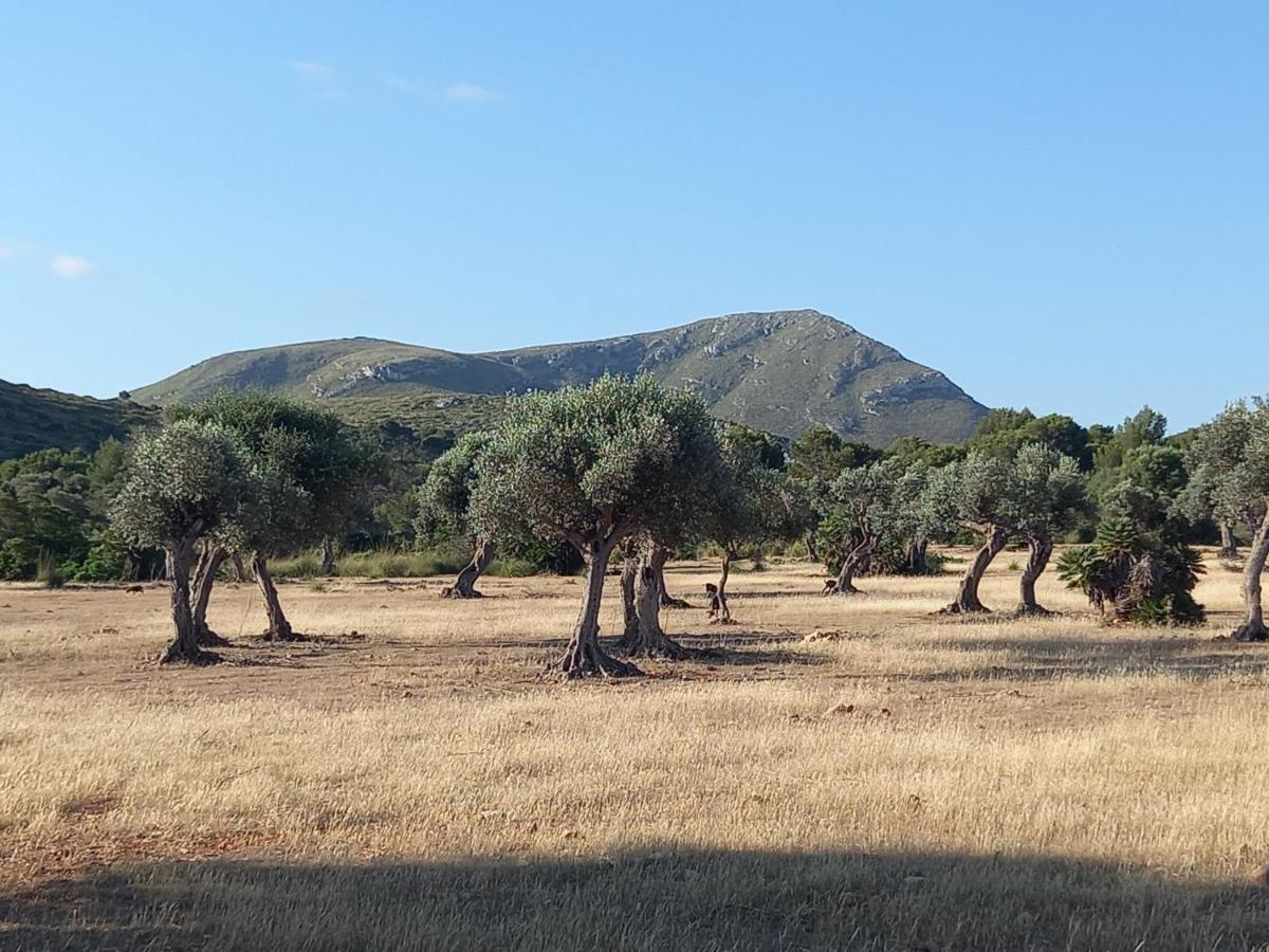 Appartamento El Nido De Betlem Colonia de Sant Pere Esterno foto